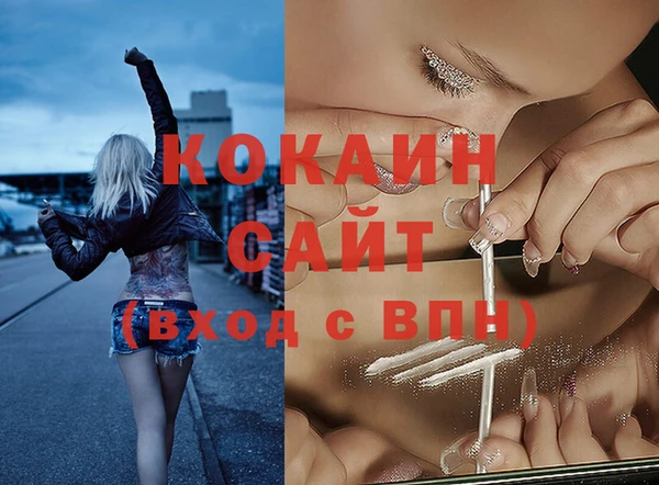 стаф Заводоуковск