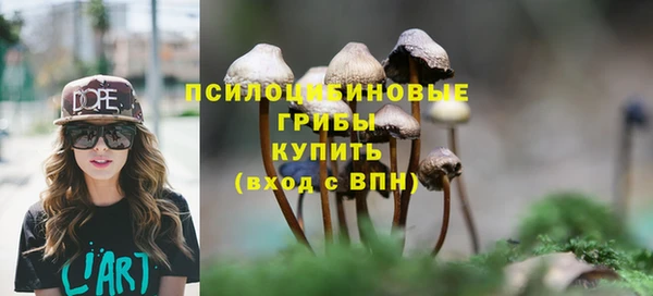 трава Зеленокумск