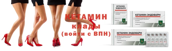 стаф Заводоуковск