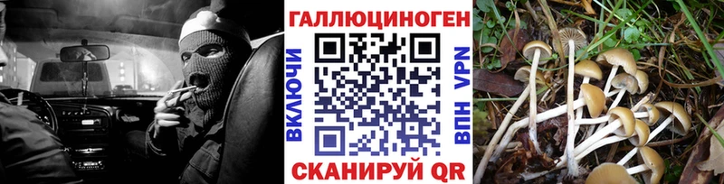Купить  Отрадная  Псилоцибиновые грибы прущие грибы 